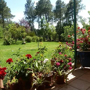  Vakantiehuis Domaine Du Planas - Patio