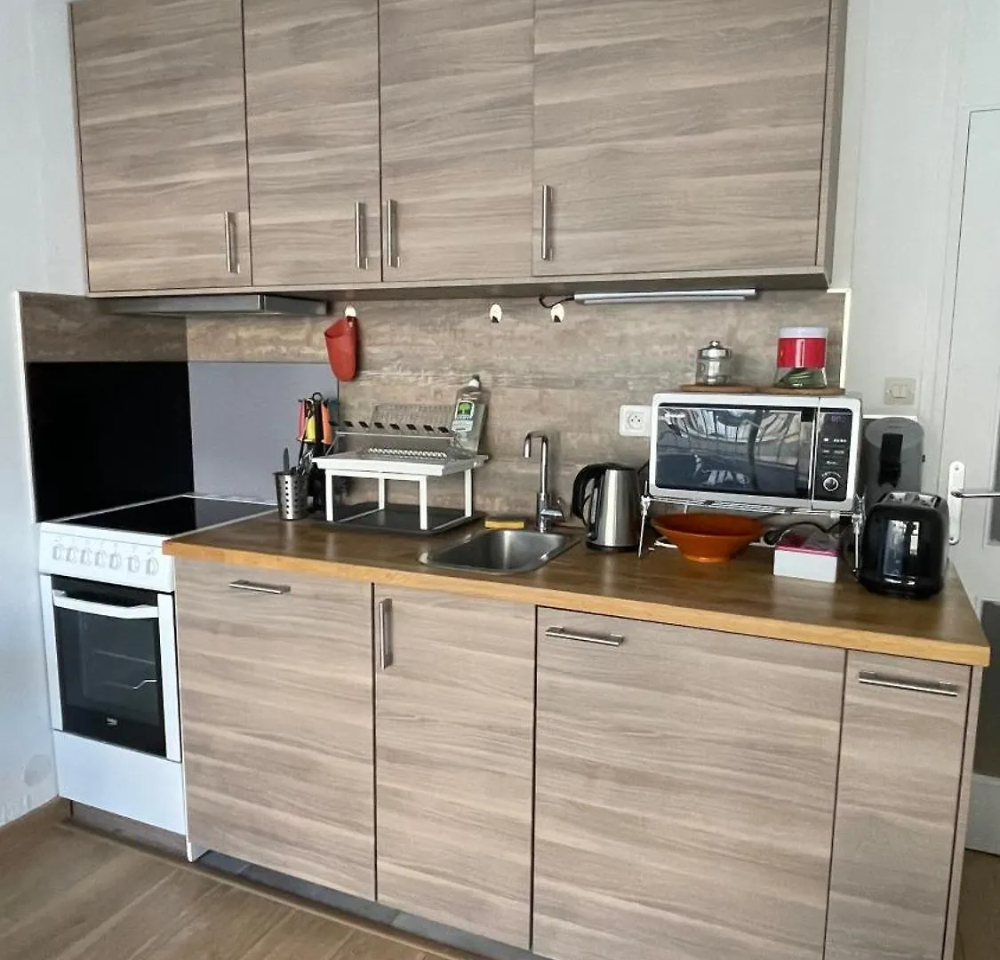 Studio Plein Centre, Calme, Parking Inclus, Piscine Et Gardien Grenoble Appartamento